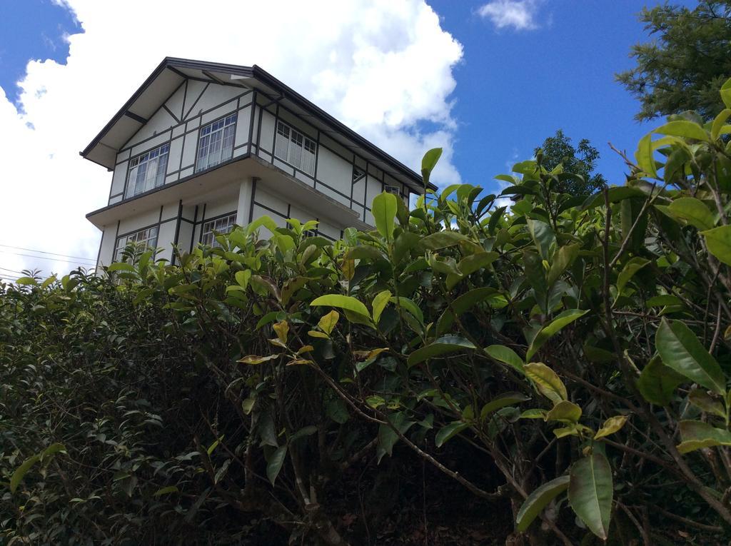 Tealeaf Bed & Breakfast นูวาราเอลิยา ภายนอก รูปภาพ
