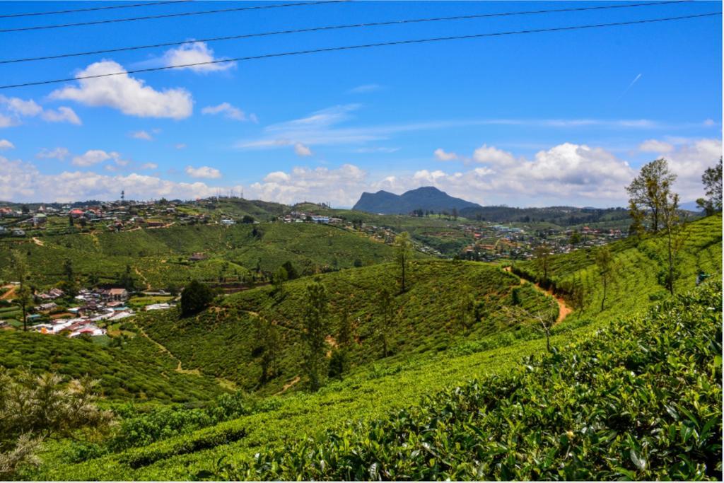 Tealeaf Bed & Breakfast นูวาราเอลิยา ภายนอก รูปภาพ