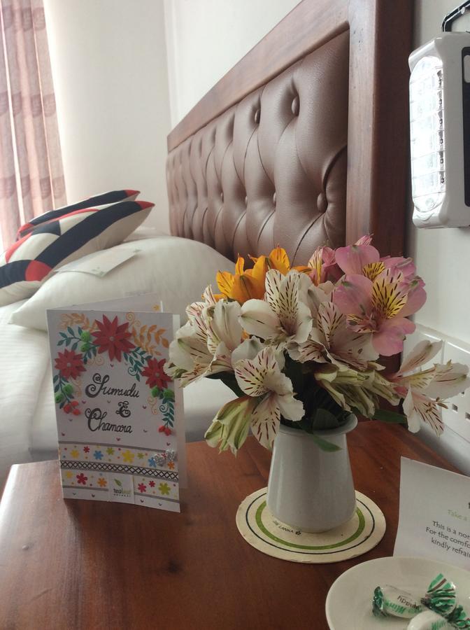 Tealeaf Bed & Breakfast นูวาราเอลิยา ภายนอก รูปภาพ